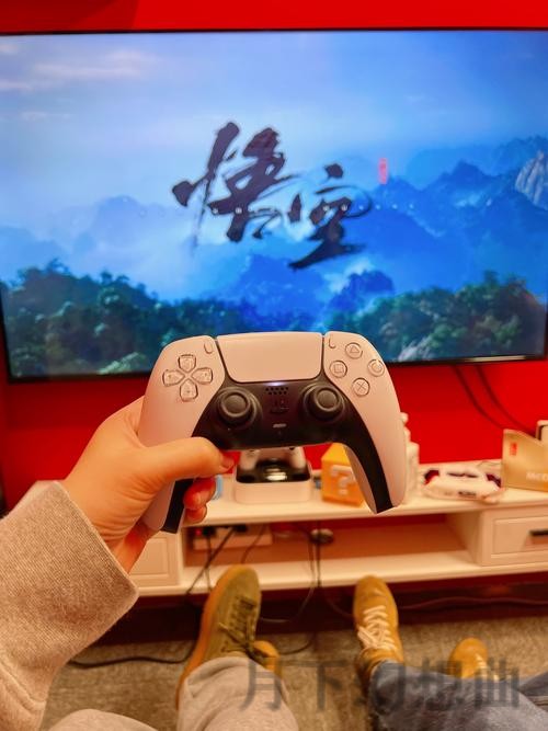 全新体验！探索半岛手机APP的无限可能